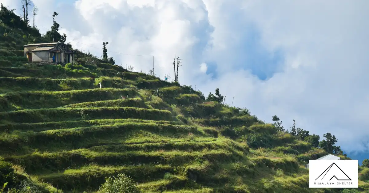 Beautiful Green Farm At Dhanaulti
