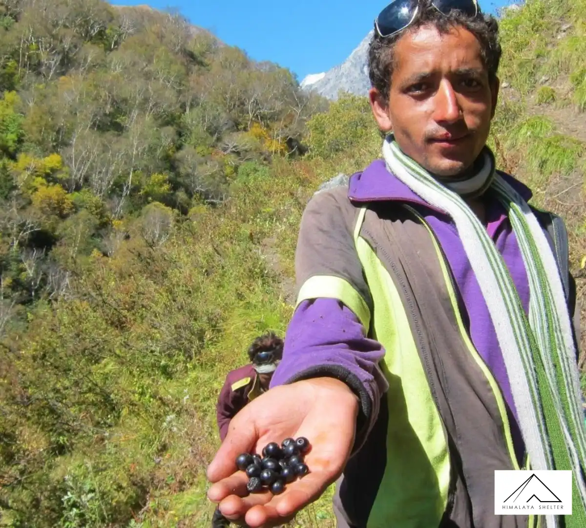 Gallery photo - Dhumdhar Kandi and Bali Pass Trek 6