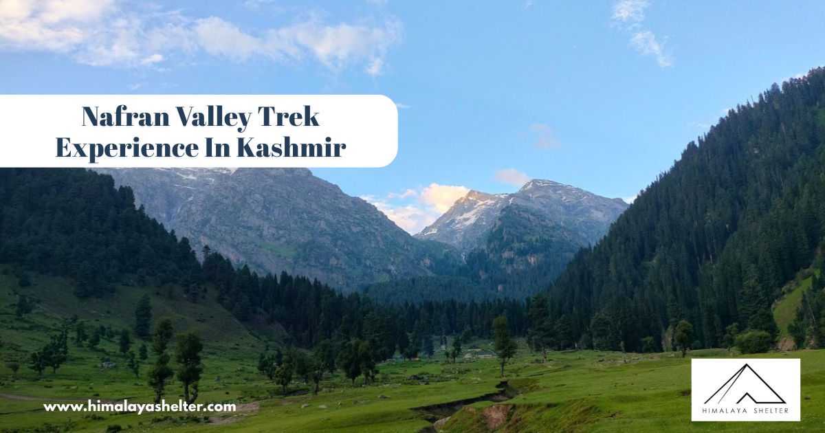 Nafran Valley Trek Experience In Kashmir