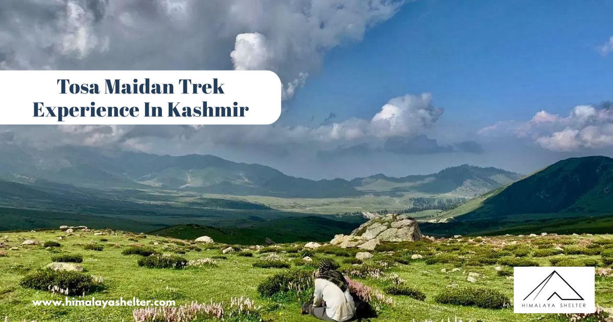 tosa maidan trek experience in kashmir