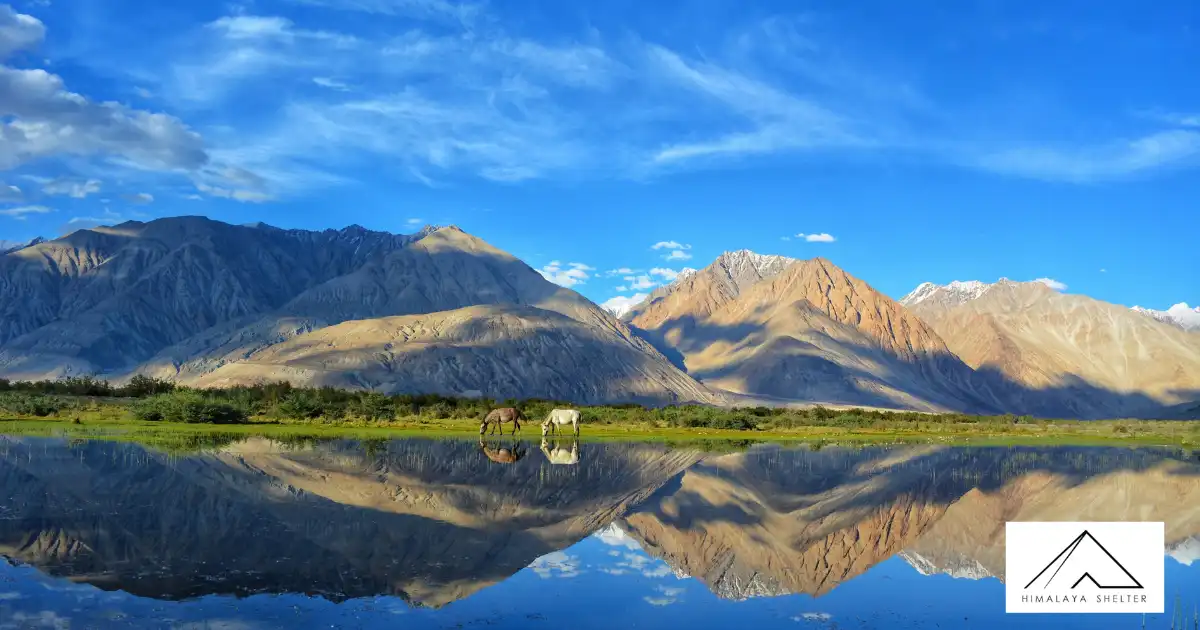 Beautiful River View In Ladakh