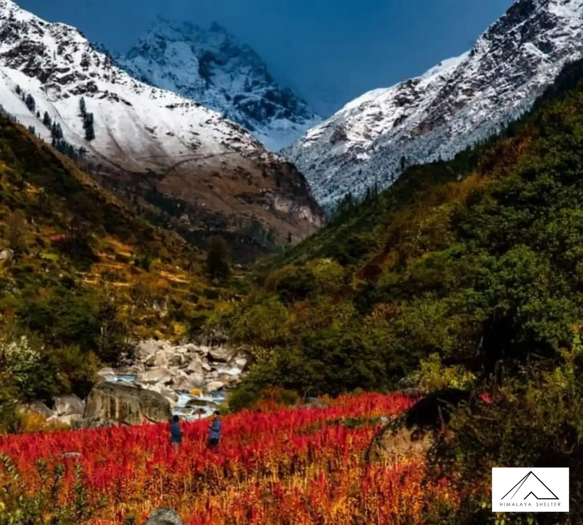 Gallery photo - Kedartal Patanginidhar Rudugaira Base Camp Trek 8