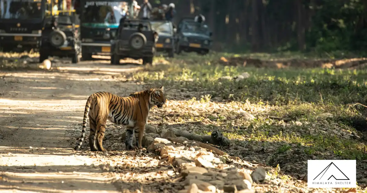 Jim Corbett National Park