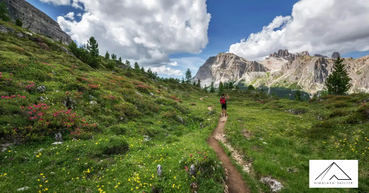 Valley Of Flowers National Park