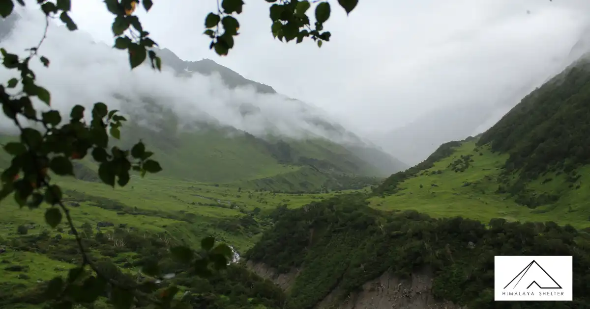 Valley View From Ghangaria