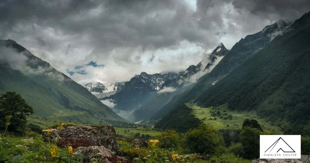 Beautiful View Of Valley Of Flowers