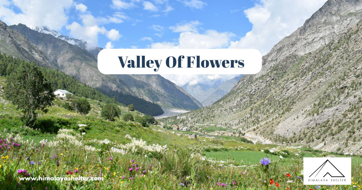 Valley of Flowers