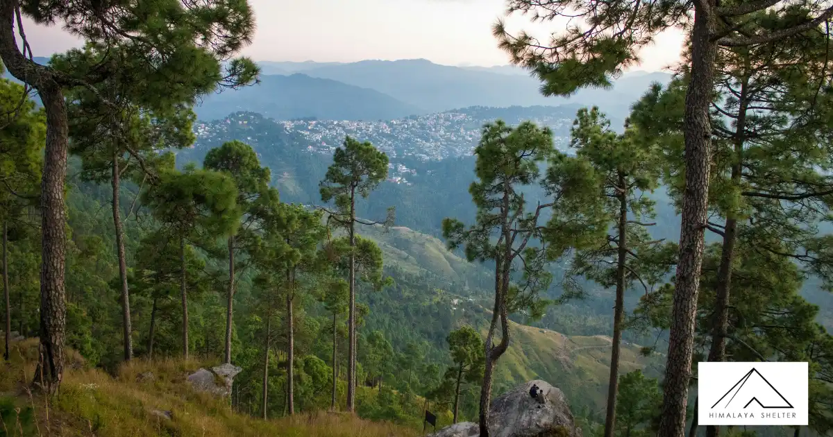 Beautiful View From Almora