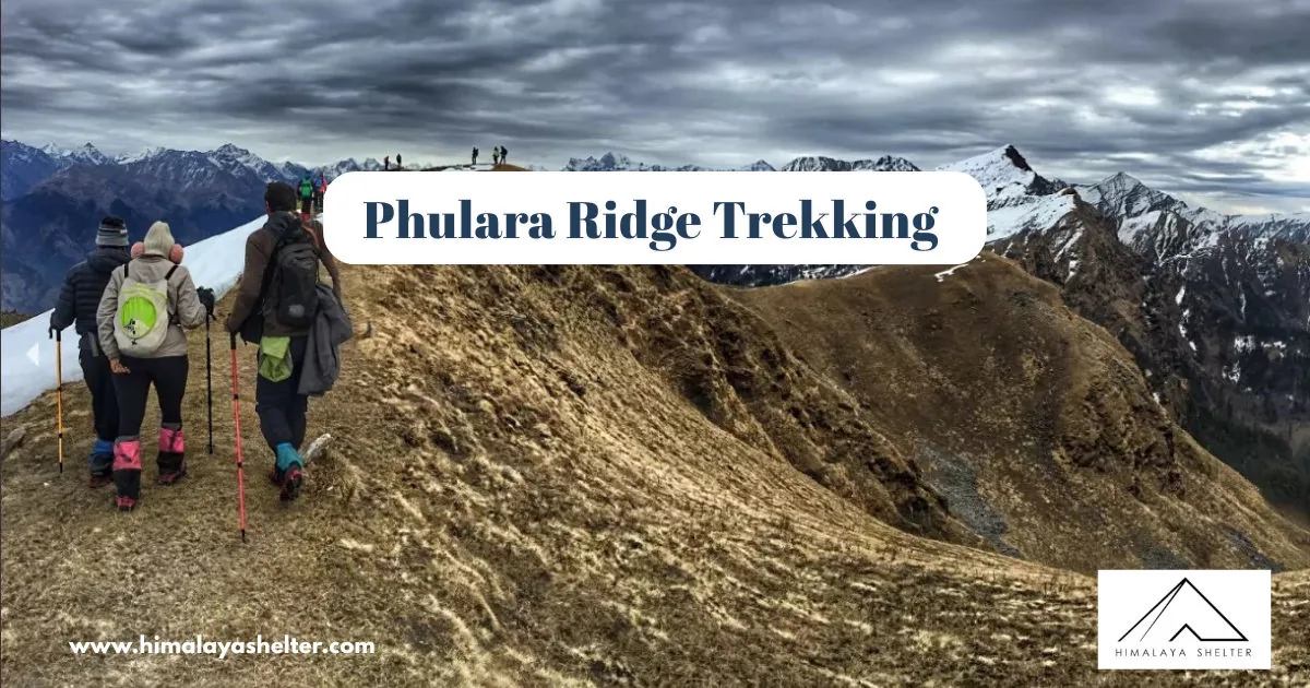 Phulara Ridge Trekking: All you will need to know