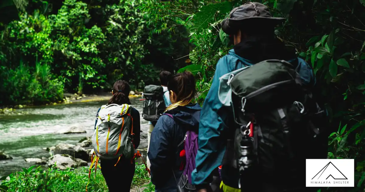 Group Trekking Through The Rainforest