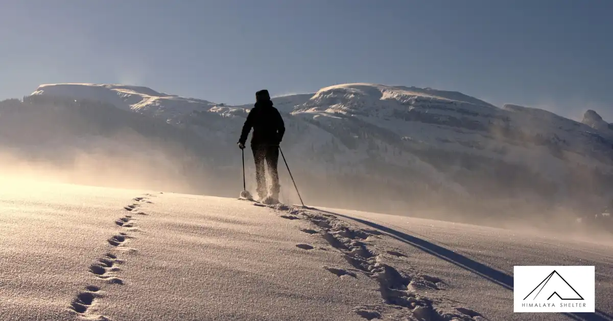 Trekker On A Mountain