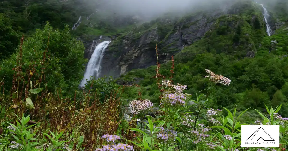Valley Of Flowers