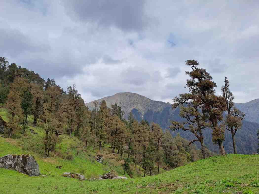 Pindari Glacier Trek