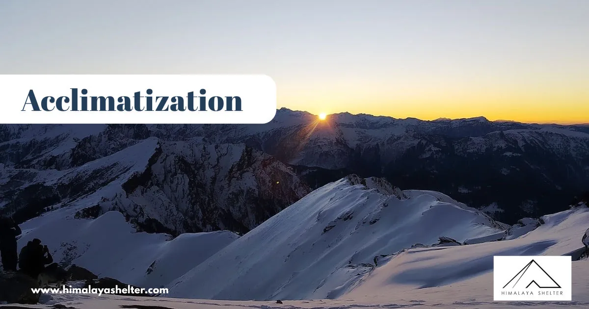 Acclimatization: Adapting to environmental changes for survival
