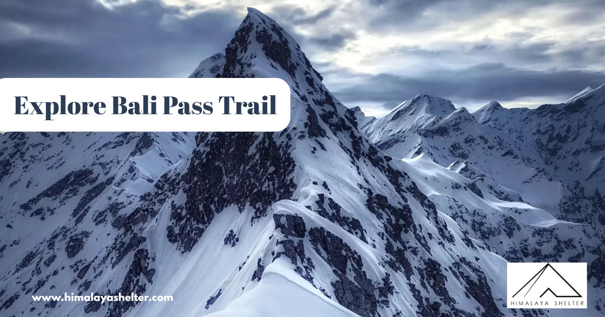 Explore Bali Pass Trail: A Himalayan Adventure for your bucket list
