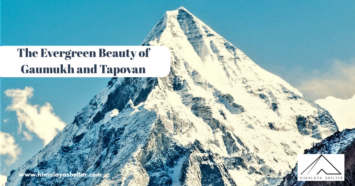 The evergreen beauty of Gaumukh and Tapovan