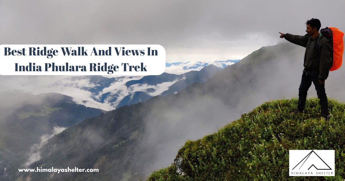 best ridge walk and views in india phulara ridge trek