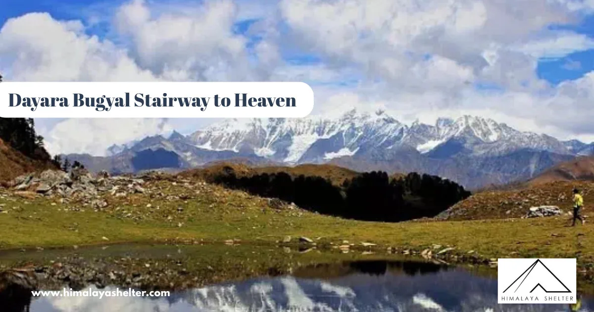 Dayara Bugyal Stairway to Heaven