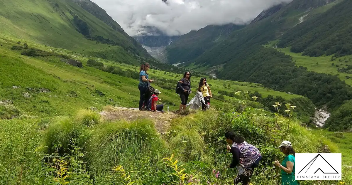 Trekkers At Valley Of Flowers Trek