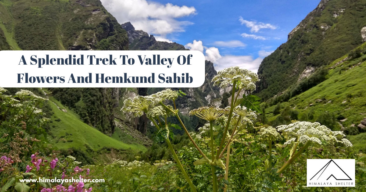 A Splendid Trek To Valley Of Flowers And Hemkund Sahib