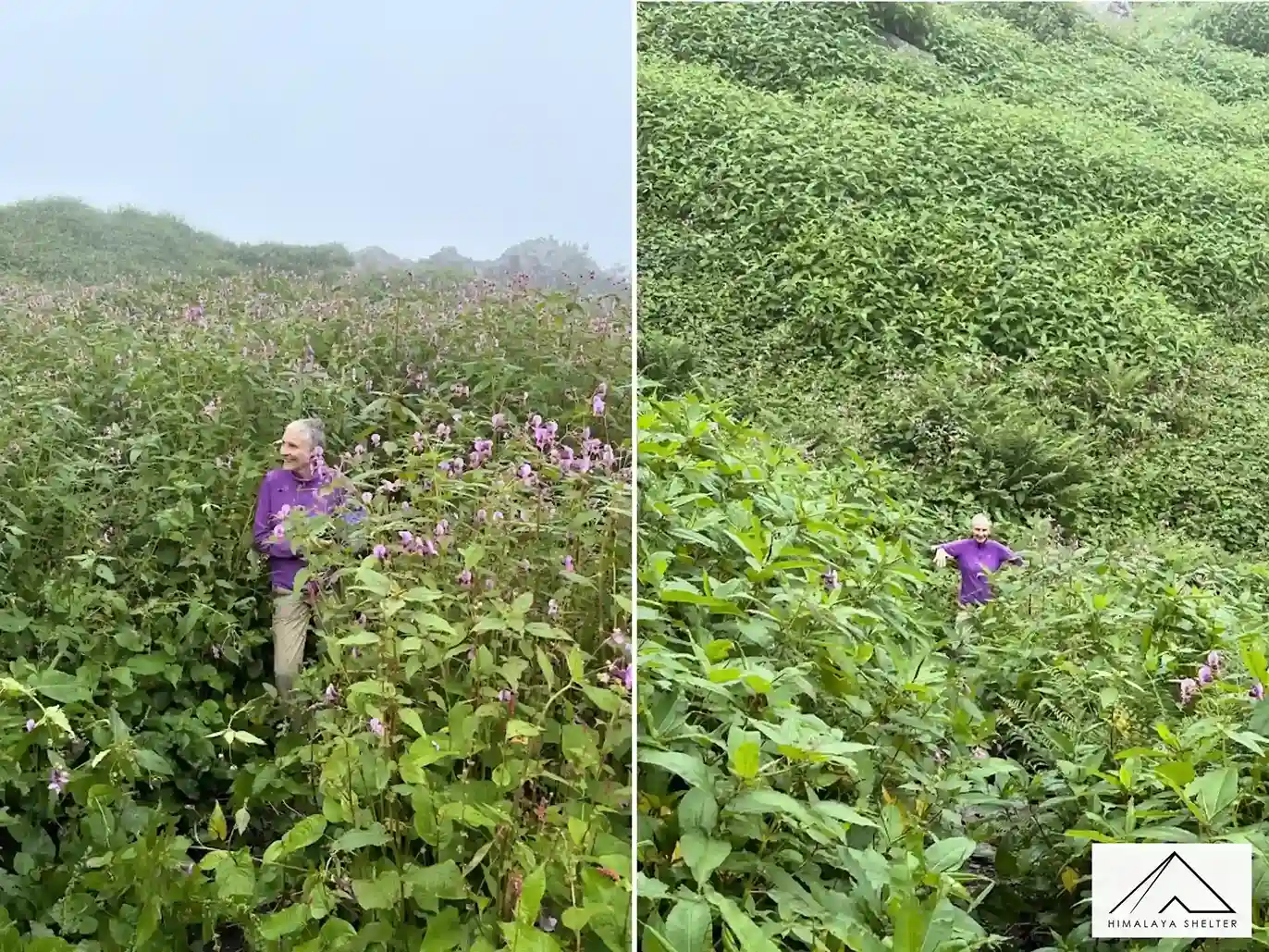 Gallery photo - Kalihani Pass Trek 2