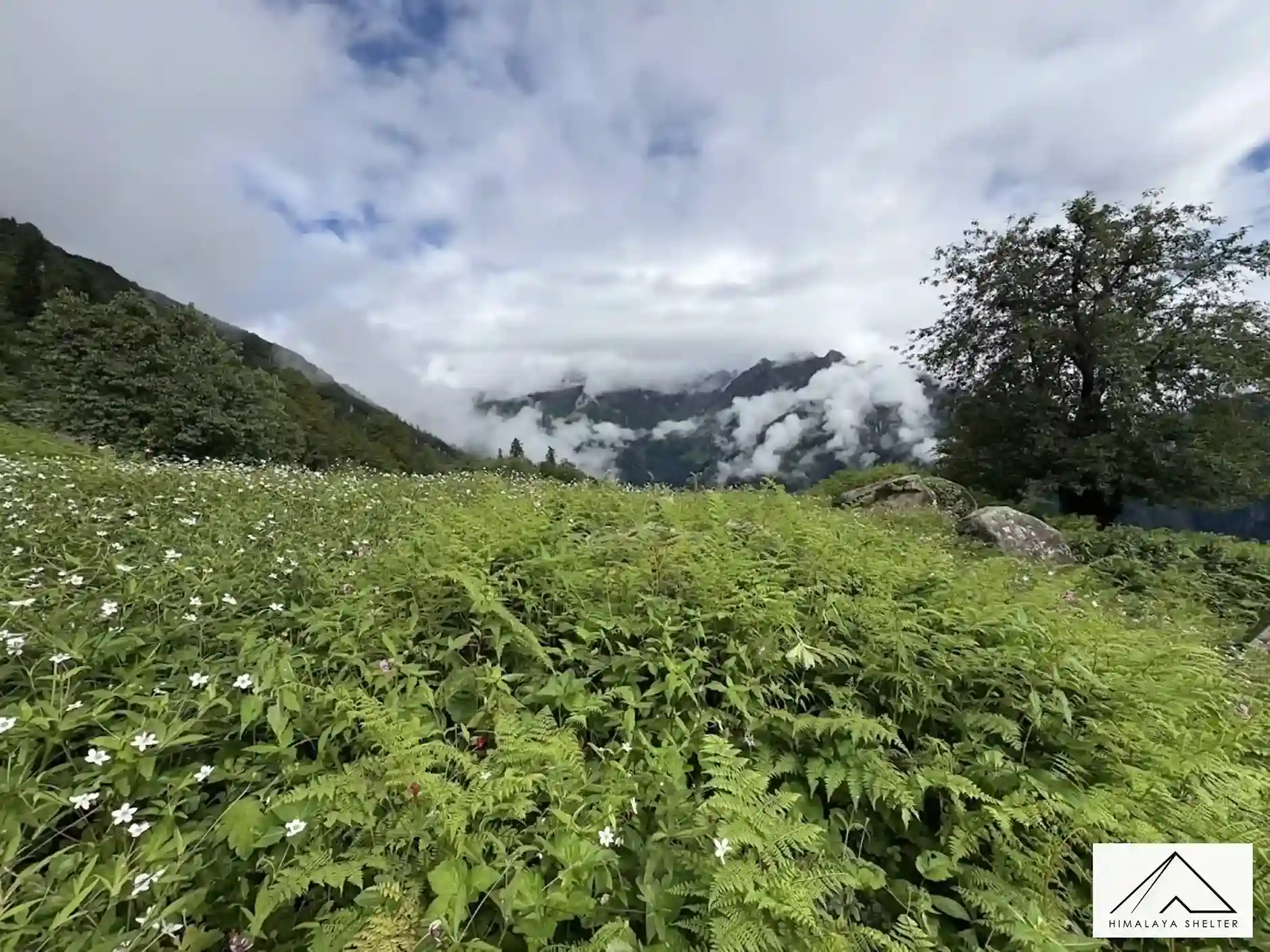 Gallery photo - Kalihani Pass Trek 4