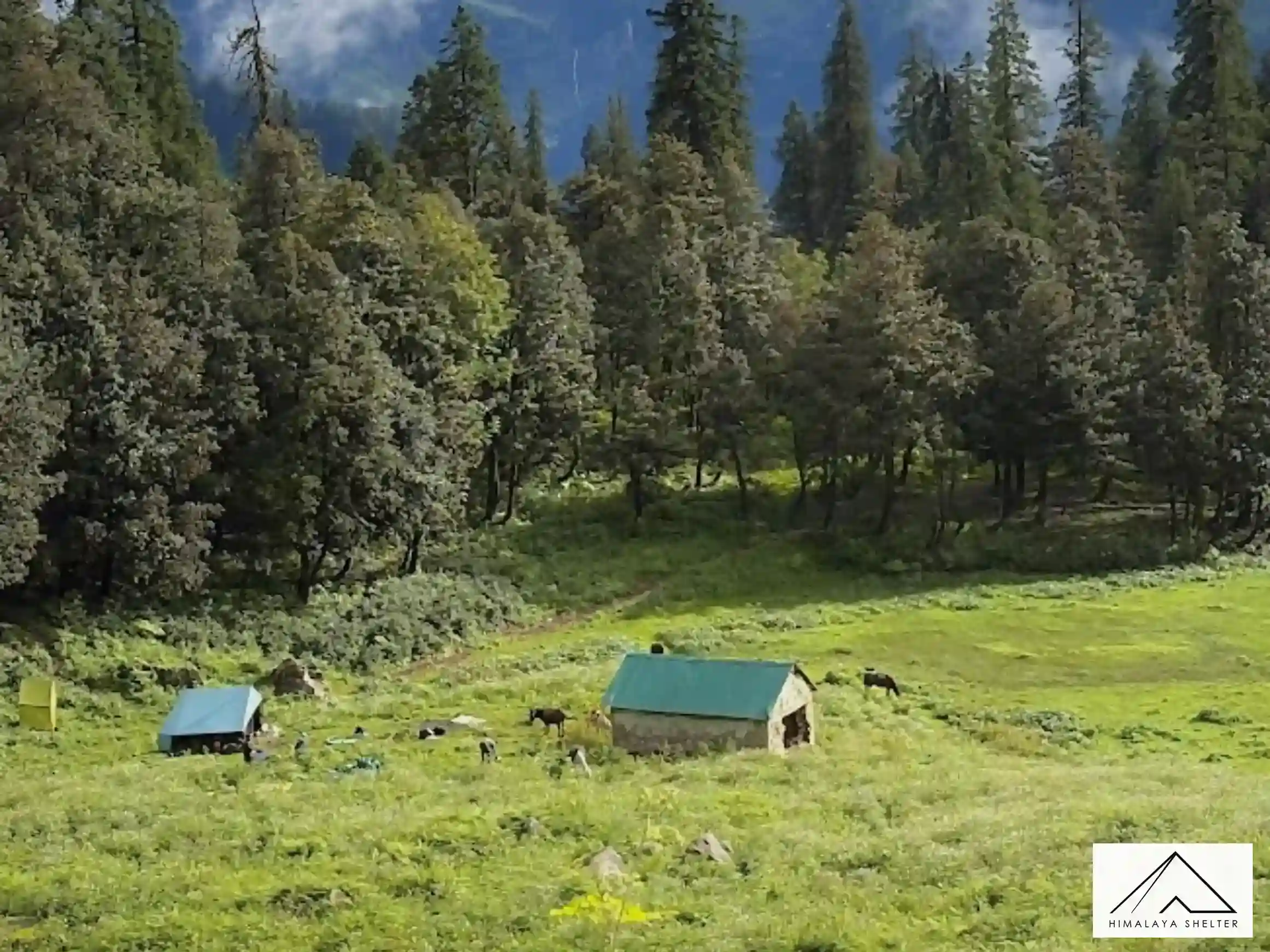 Gallery photo - Kalihani Pass Trek 5