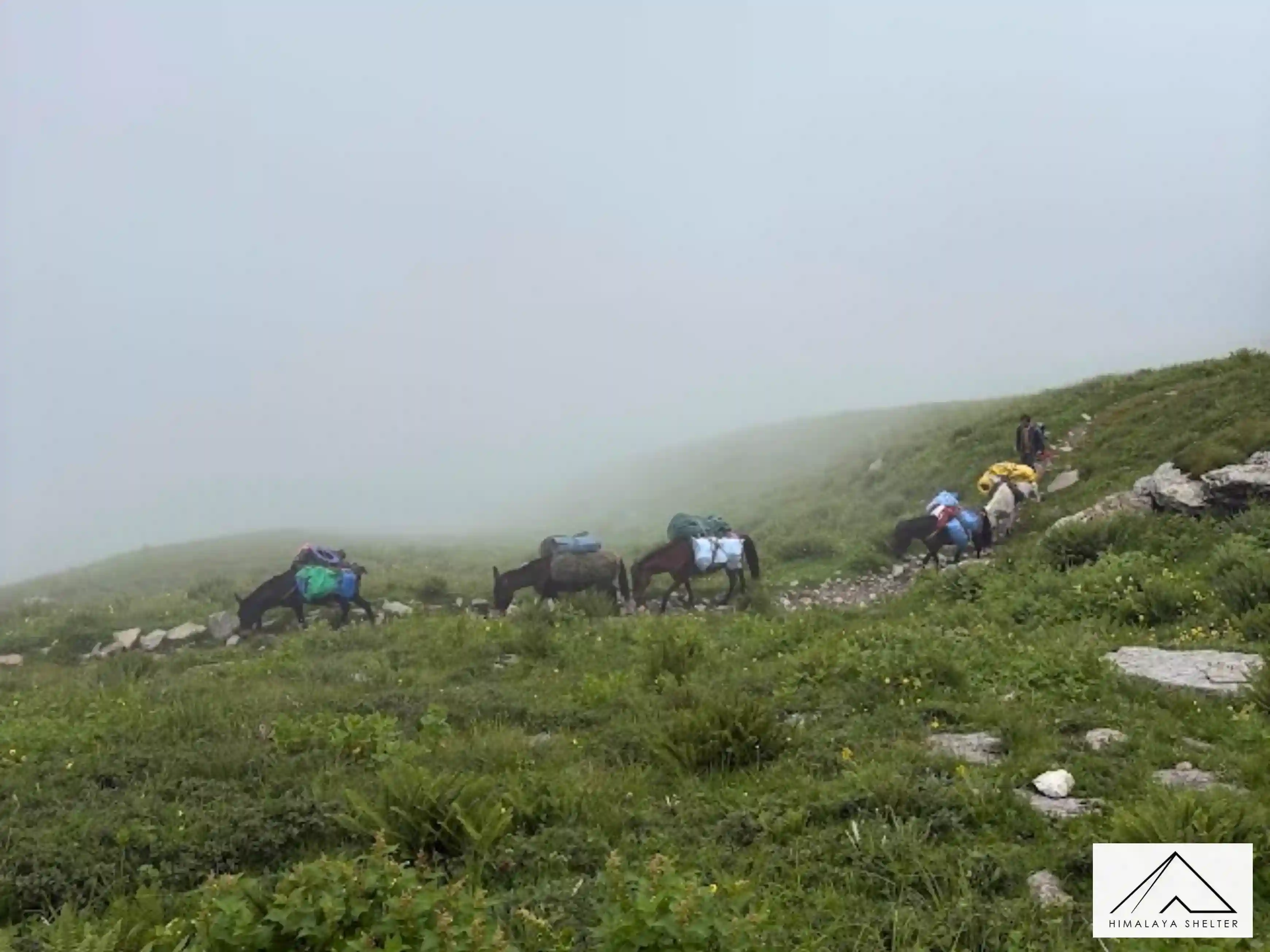 Gallery photo - Kalihani Pass Trek 10