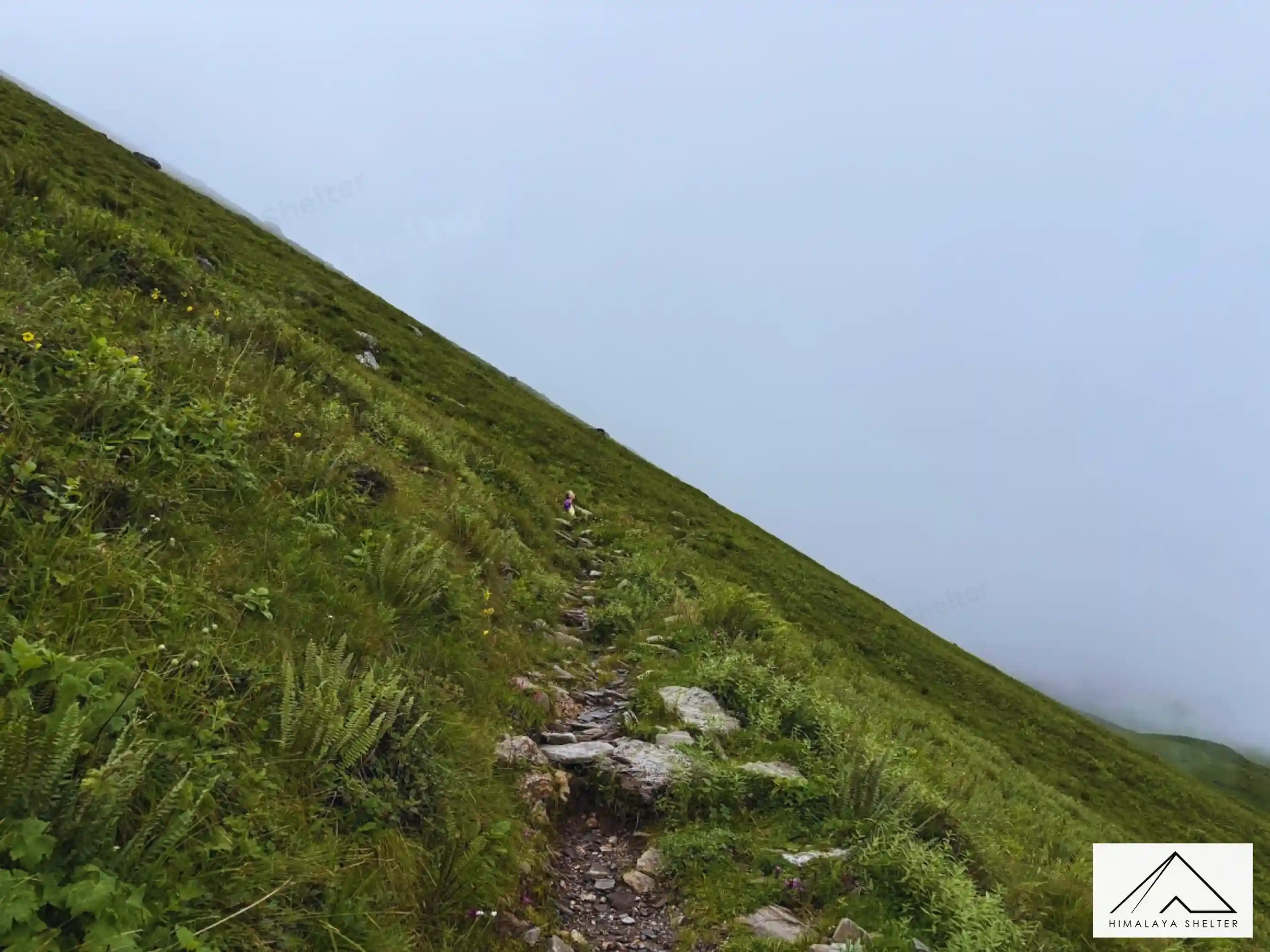 Gallery photo - Kalihani Pass Trek 8