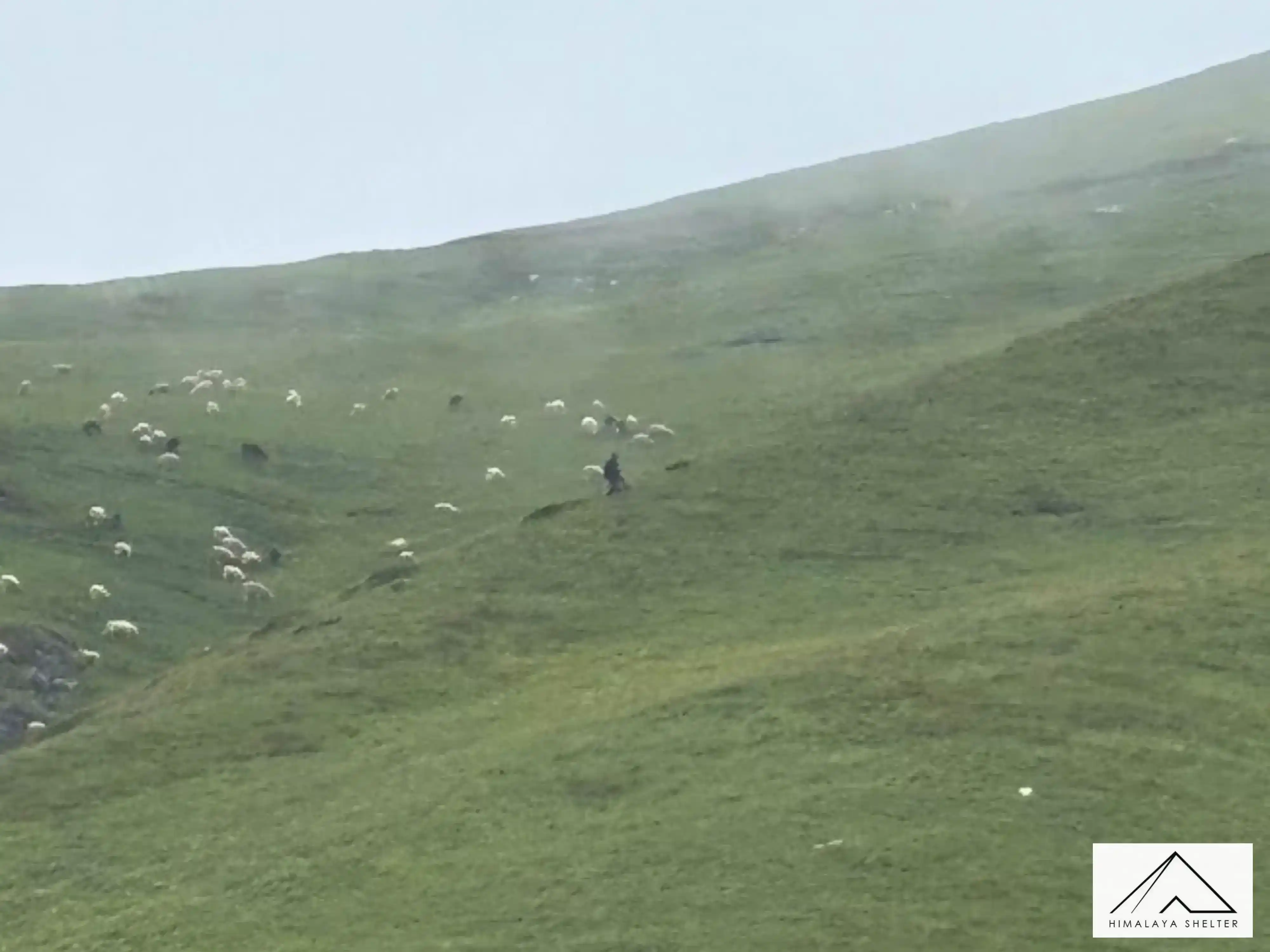 Gallery photo - Kalihani Pass Trek 12