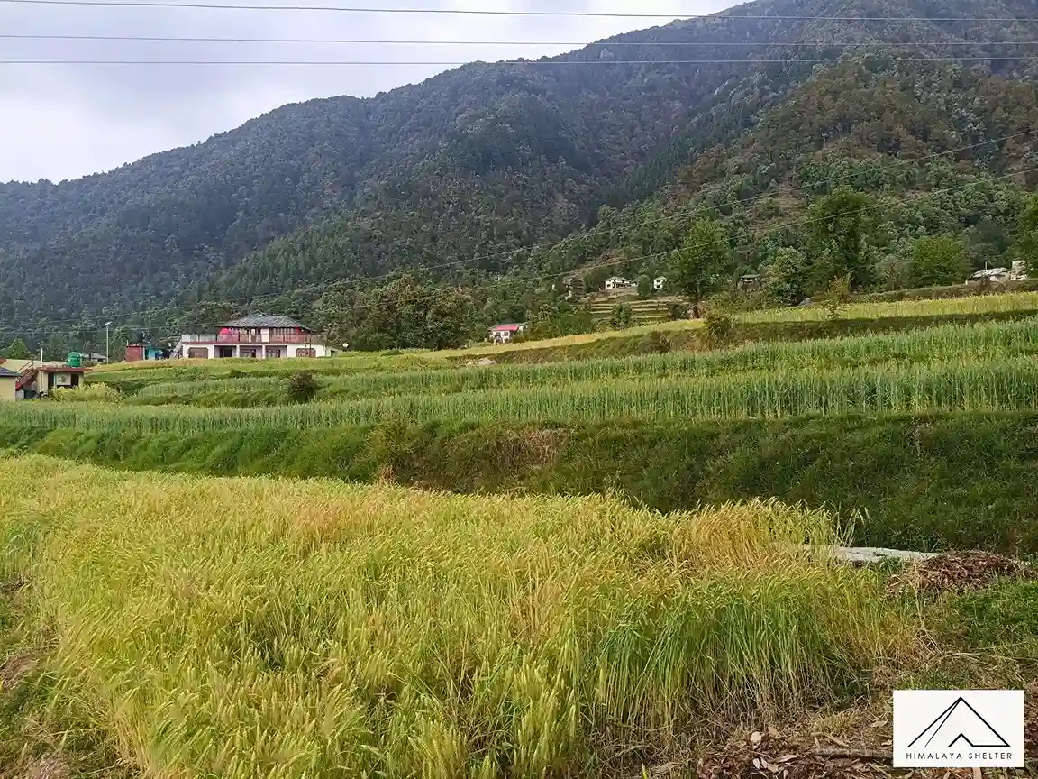 Gallery photo - Kareri Lake Trek 8