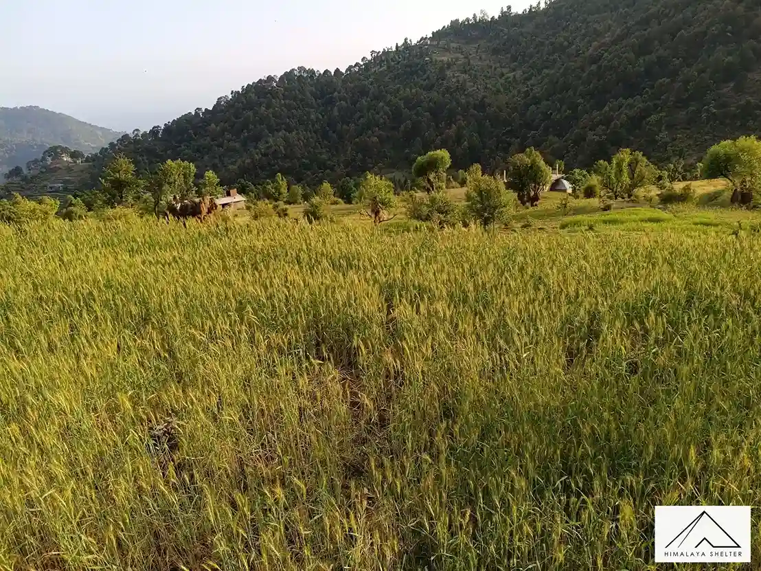 Gallery photo - Kareri Lake Trek 9