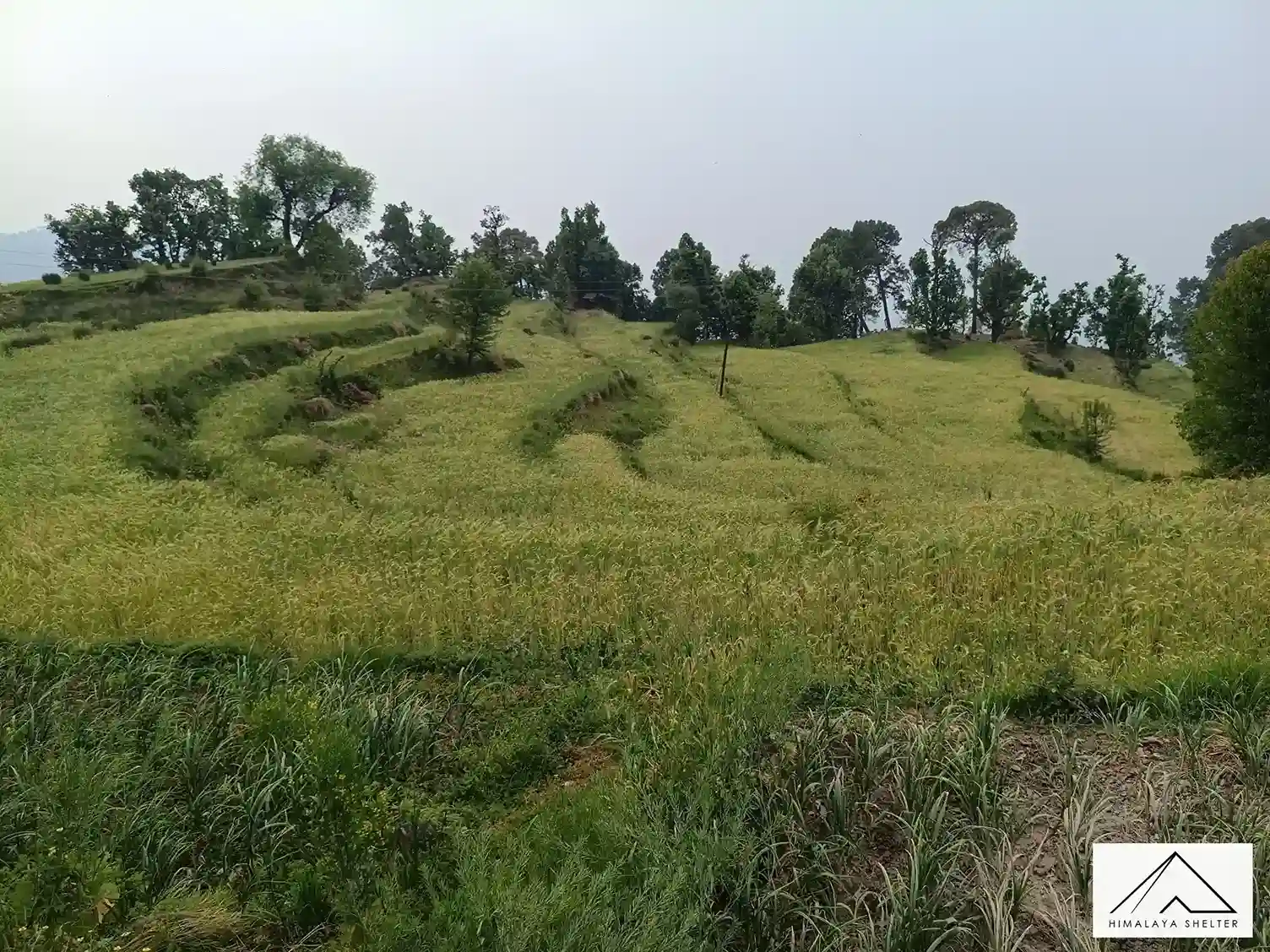 Gallery photo - Kareri Lake Trek 5