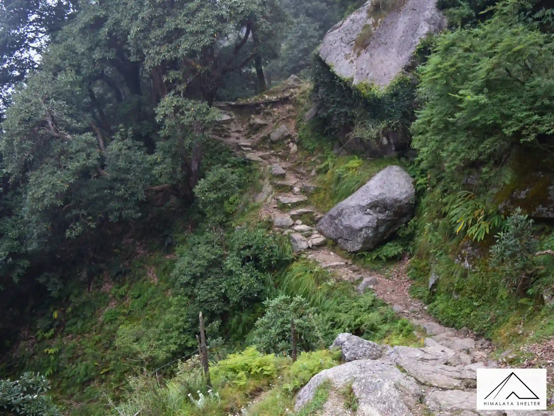 Gallery photo - Kareri Lake Trek 13