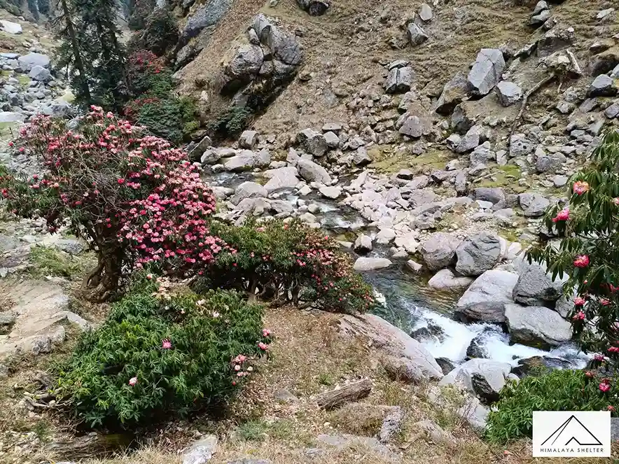 Gallery photo - Kareri Lake Trek 12