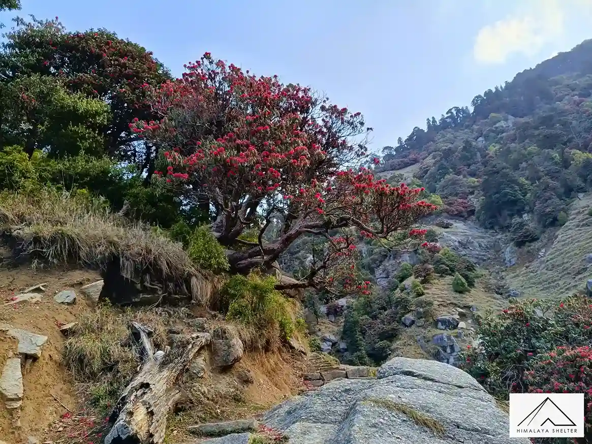 Gallery photo - Kareri Lake Trek 11