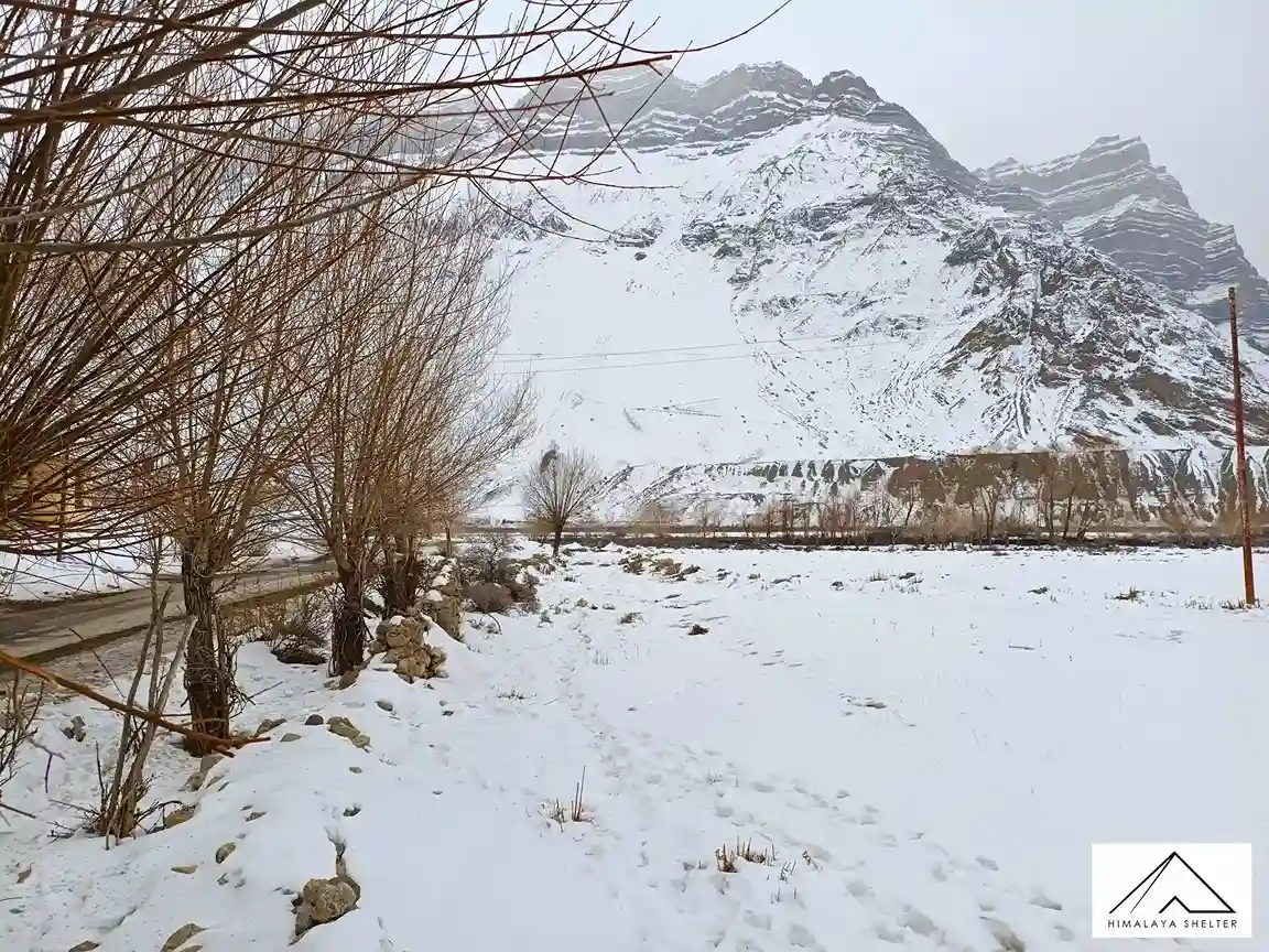 Gallery photo - Spiti Valley Winter trek 20