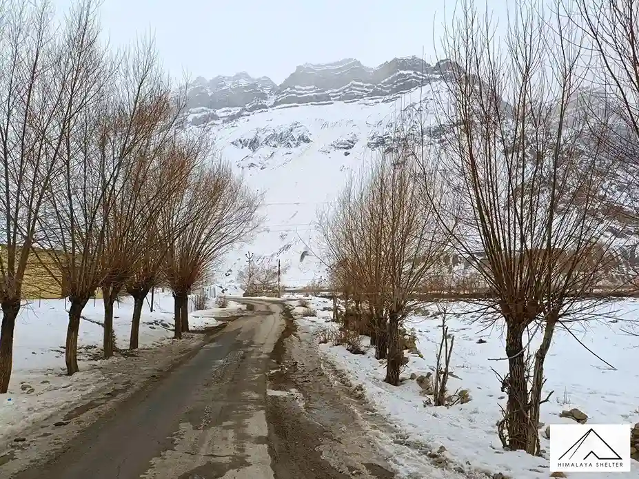 Gallery photo - Spiti Valley Winter trek 16