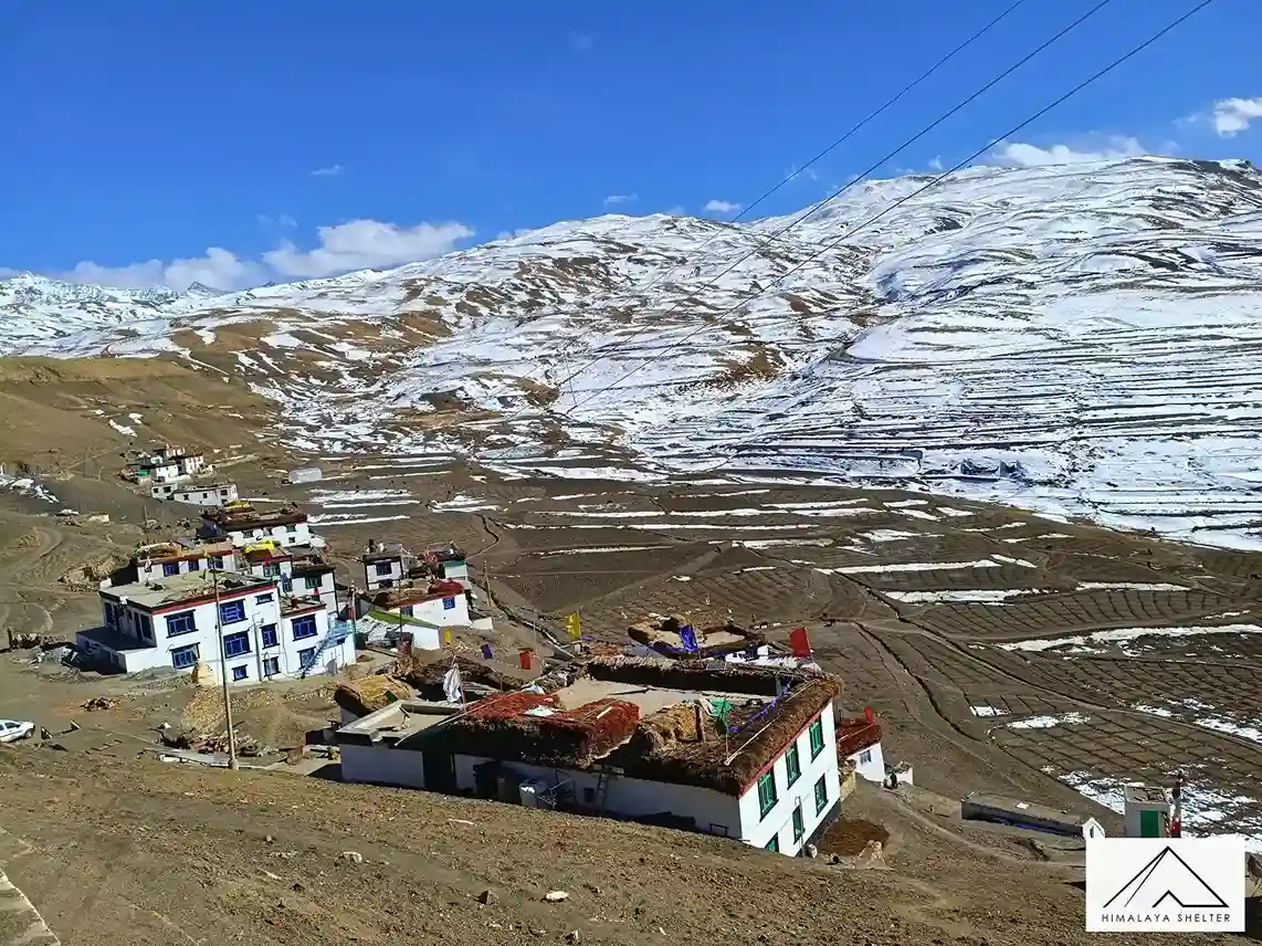 Gallery photo - Spiti Valley Winter trek 17