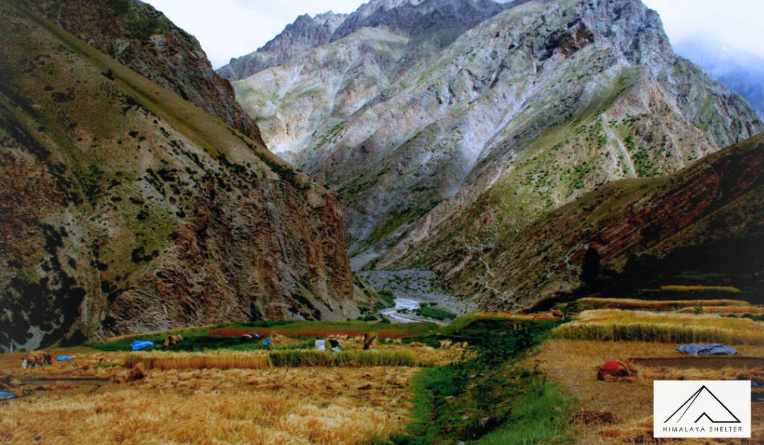 Charang Valley Trek