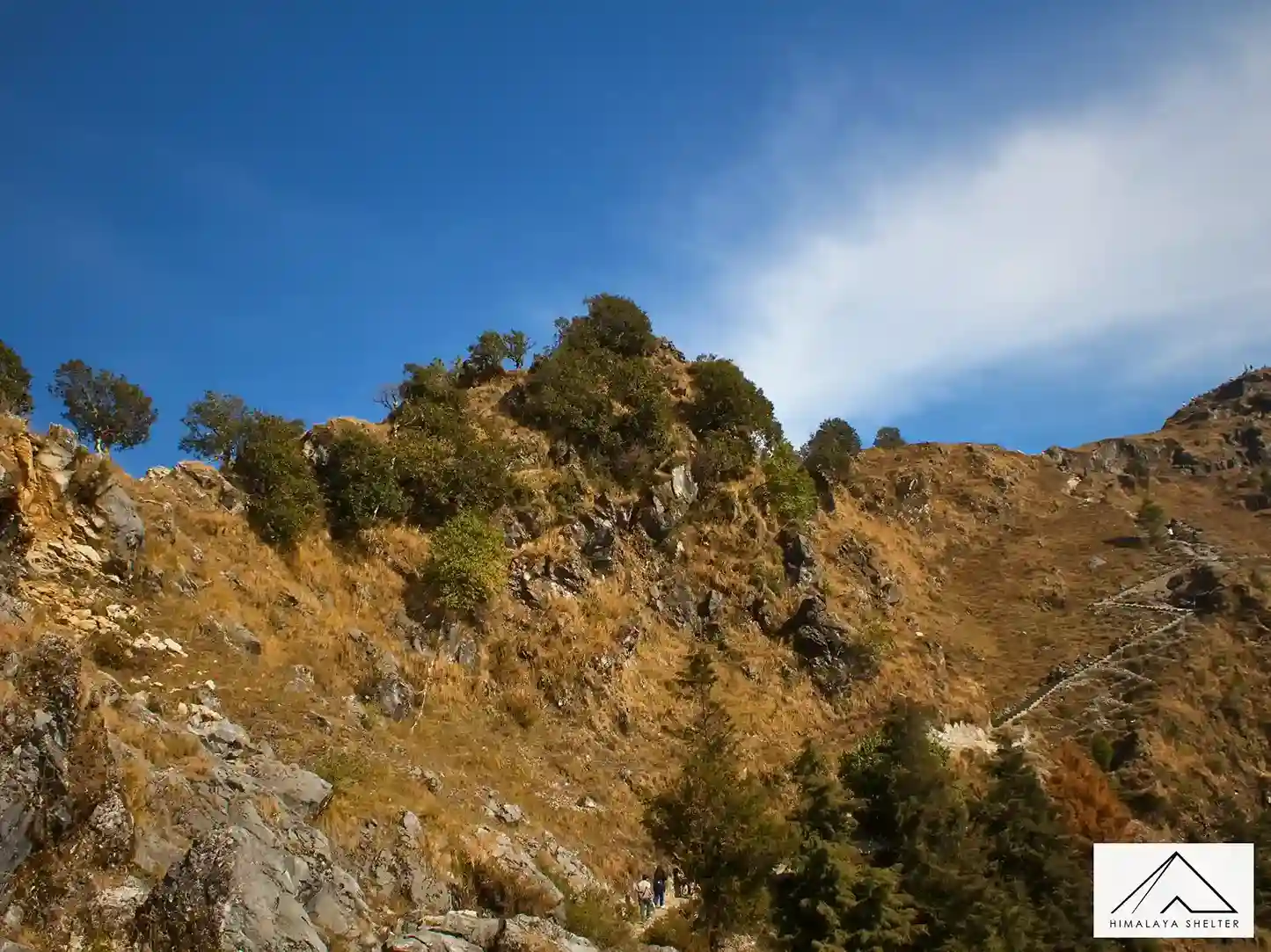 Gallery photo - George Everest Trek Mussoorie 1