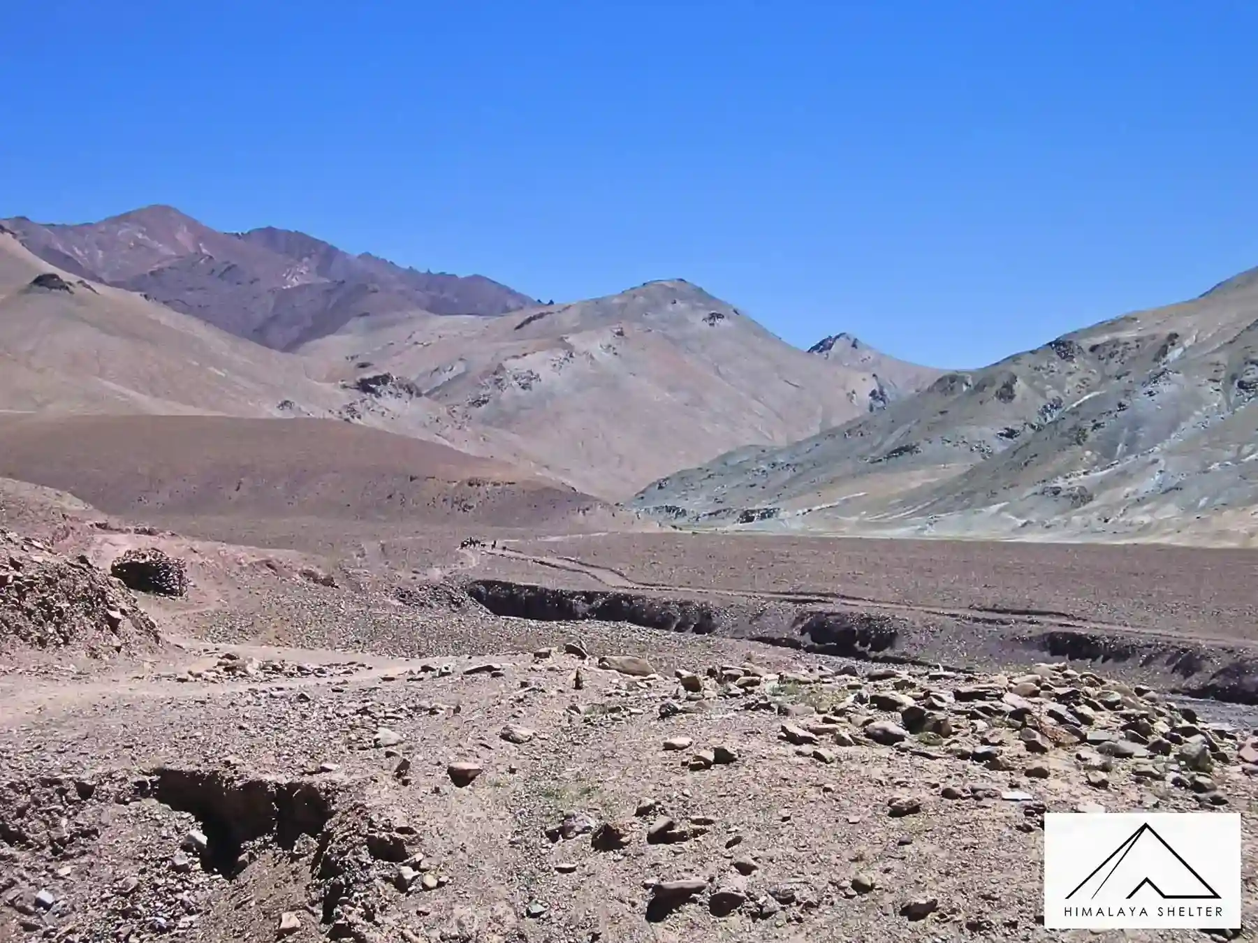 Gallery photo - Rumtse to Tso Moriri Trek 8