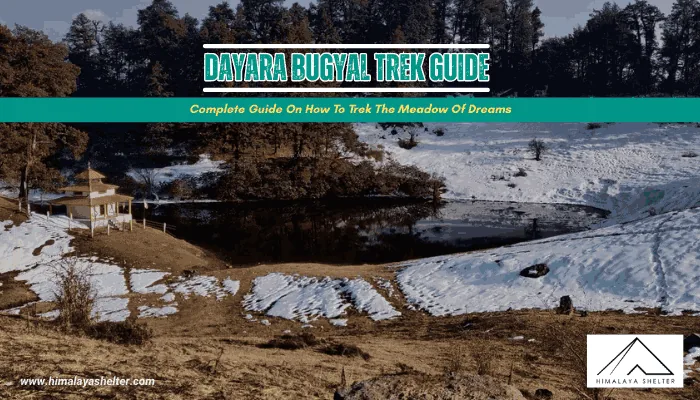 Dayara Bugyal Trek Guide: Complete guide on how to trek the meadow of dreams