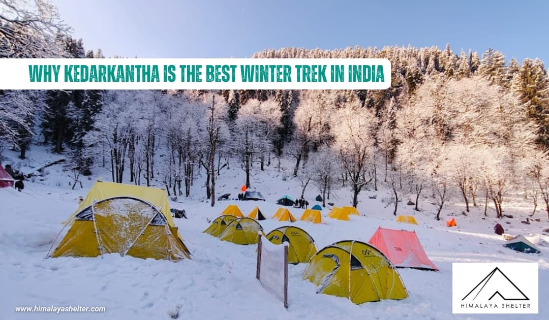 Why Kedarkantha Is the Best Winter Trek in India