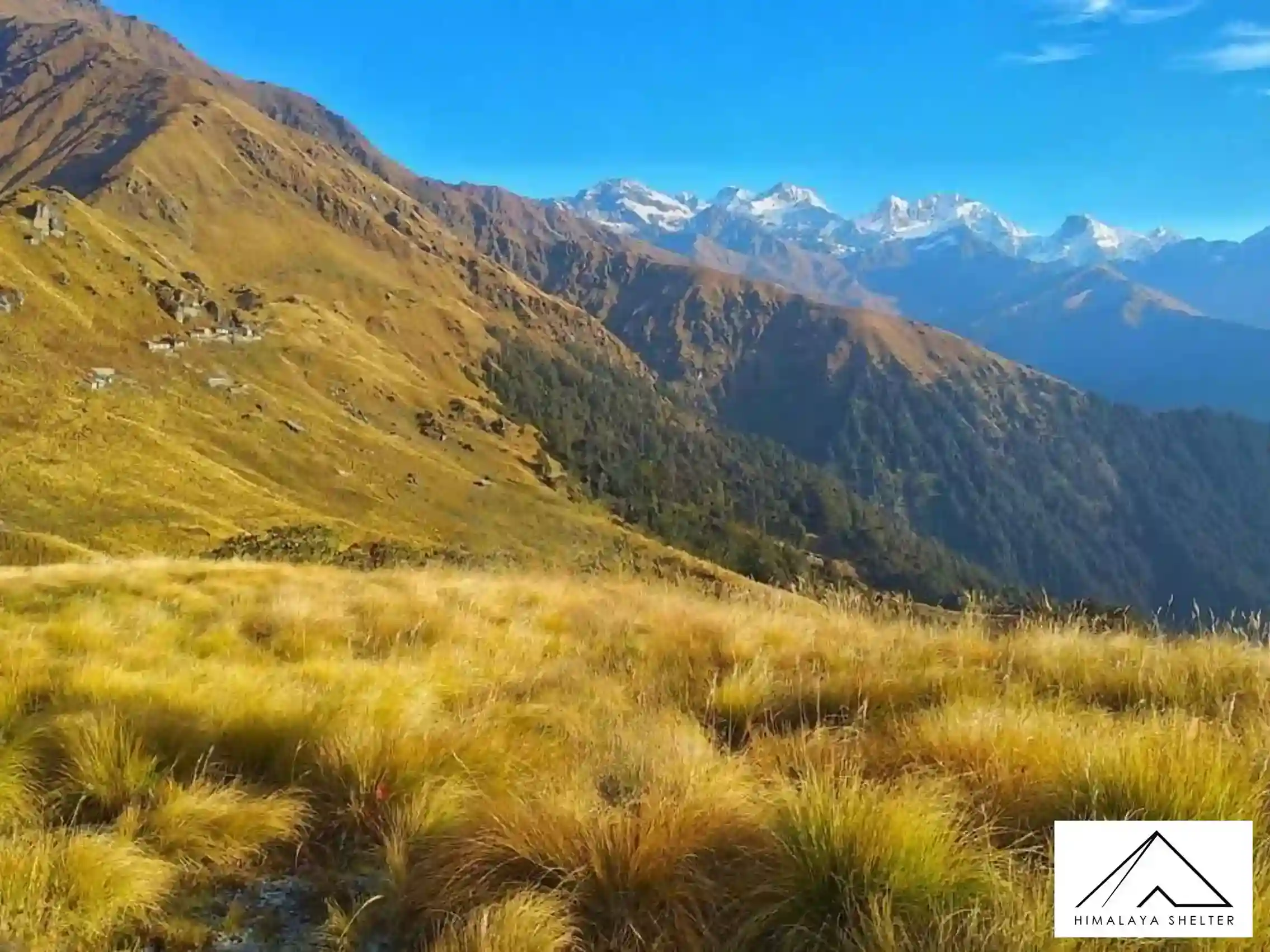 Gallery photo - Rudranath Trek 4