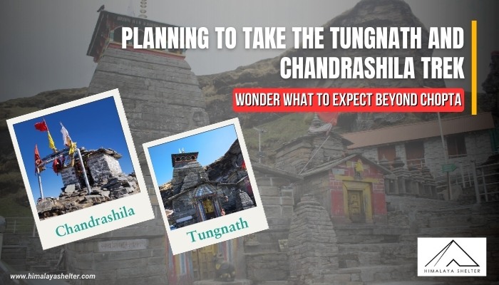 Planning to Take the Tungnath and Chandrashila Trek