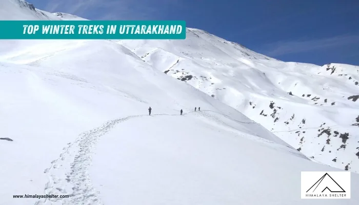 Top Winter Treks in Uttarakhand