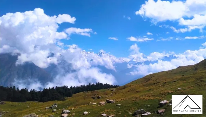 Kuari Pass Trek Notes From A Leader: Himalayan trek experience