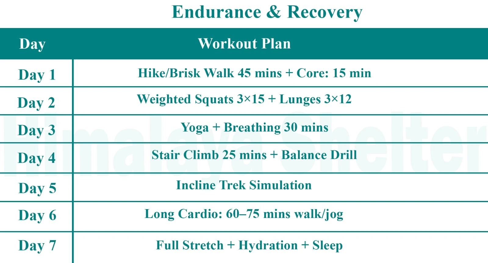 Endurance & Recovery