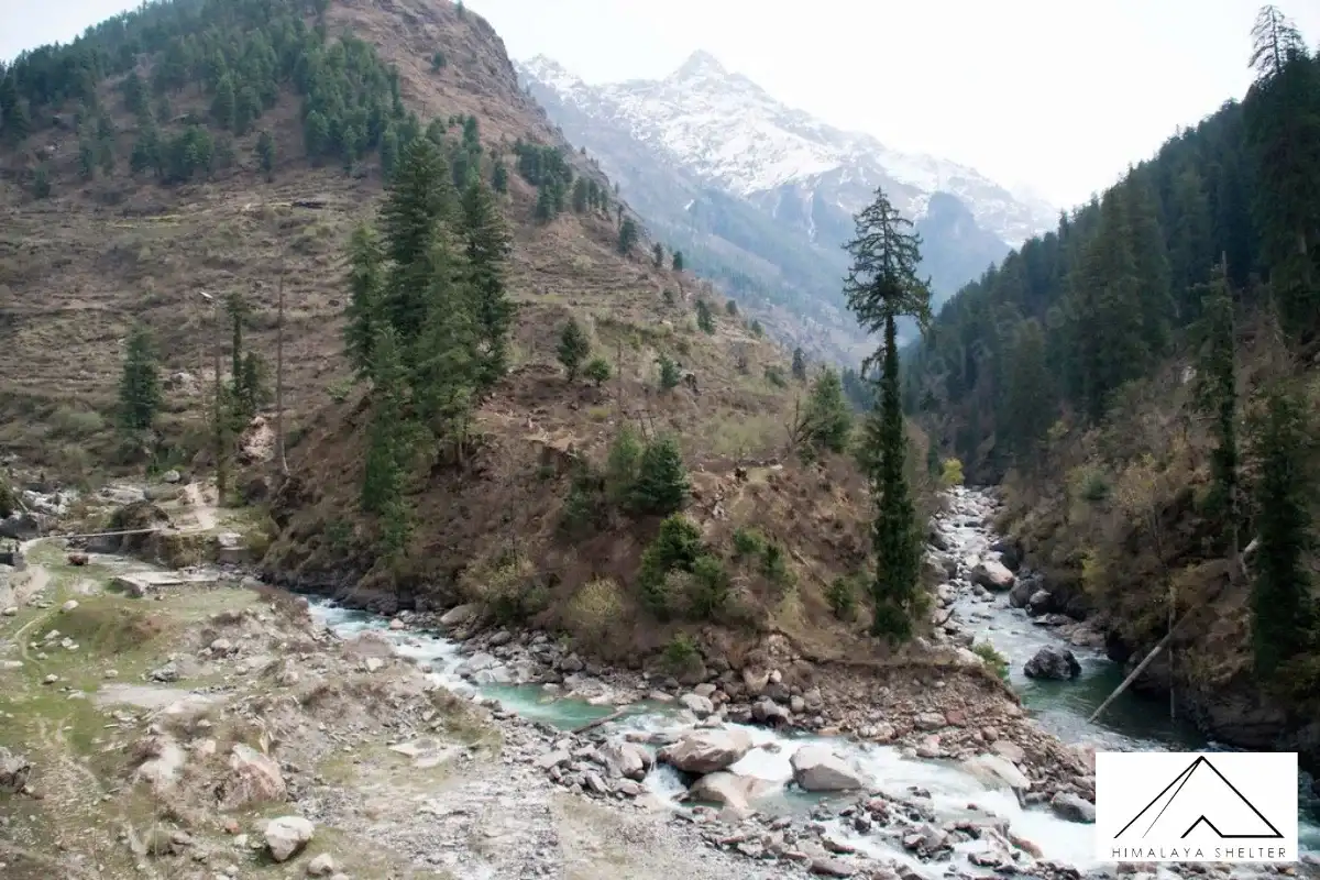 Gallery photo - Kheerganga Trek 4